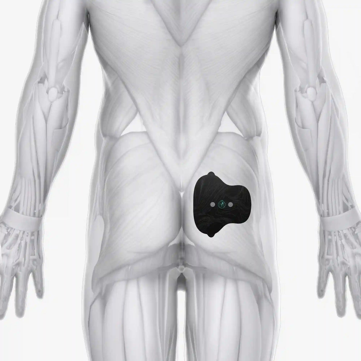 Halo Glute Pad Set 6-Pack