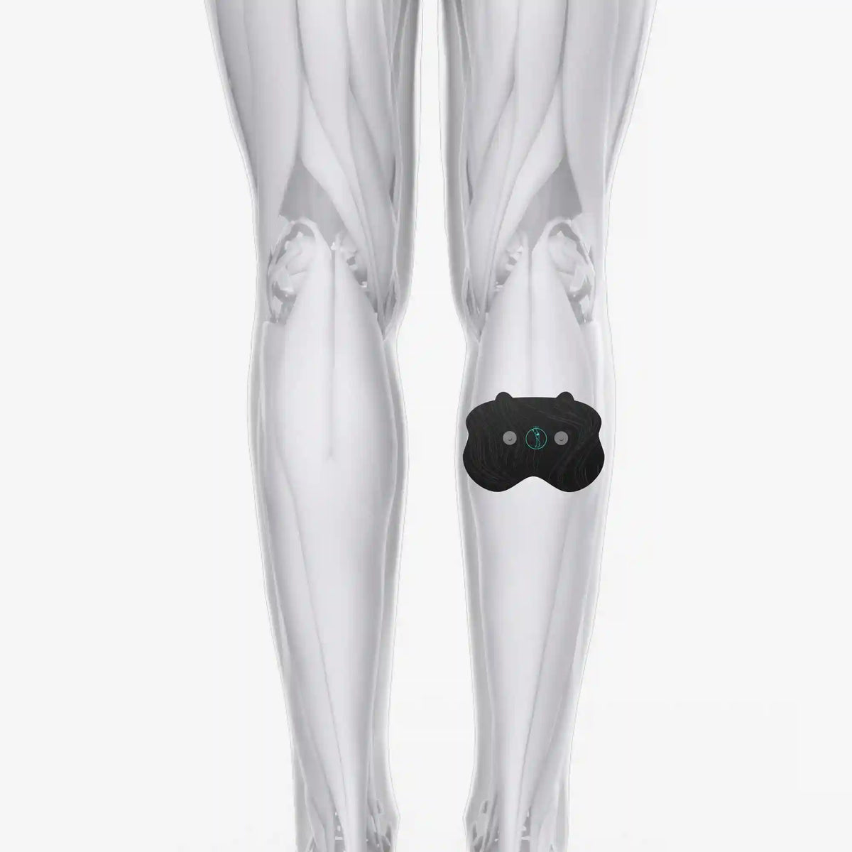 Halo Calf Pad Set 6-Pack