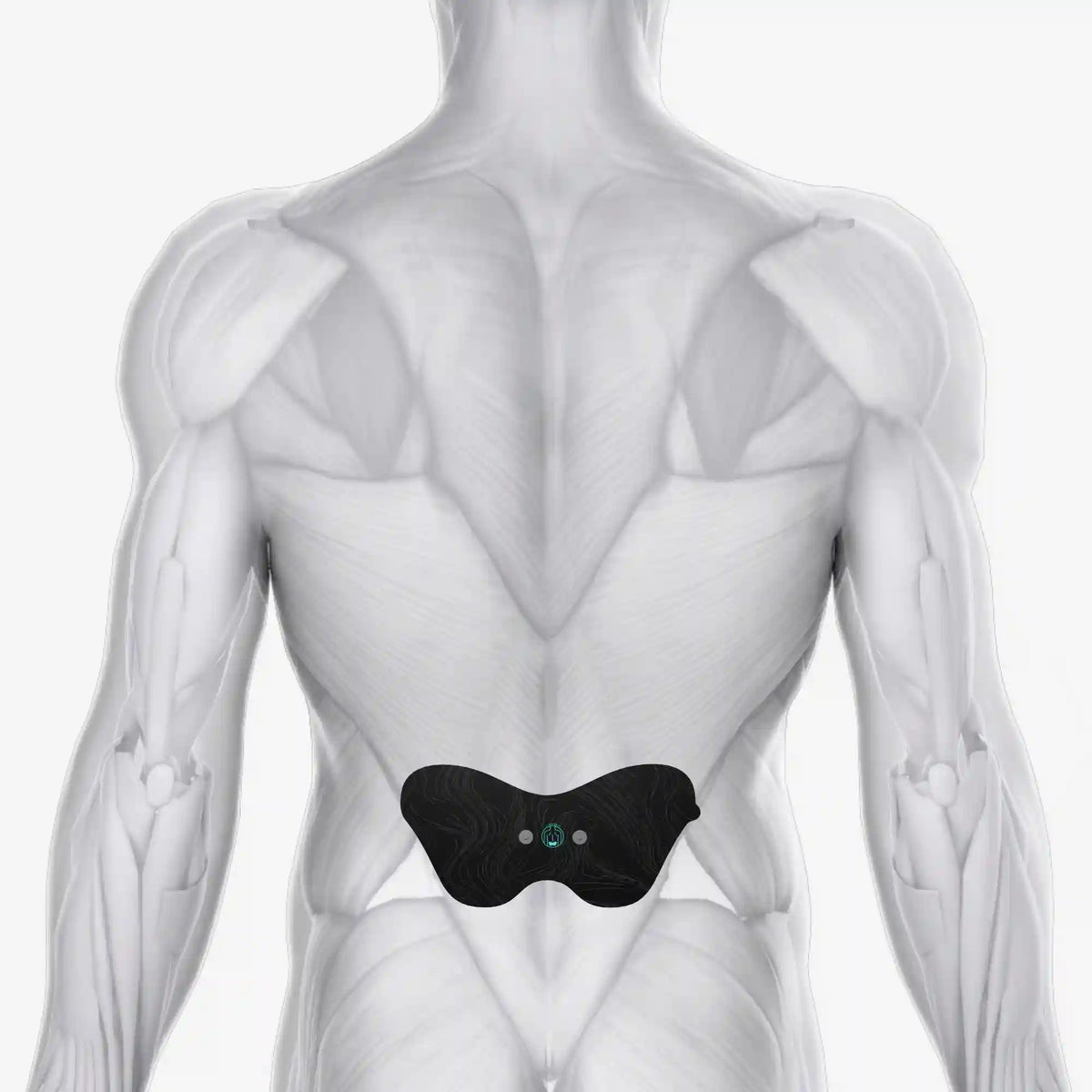 Halo Lower Back Pad Set 6-Pack